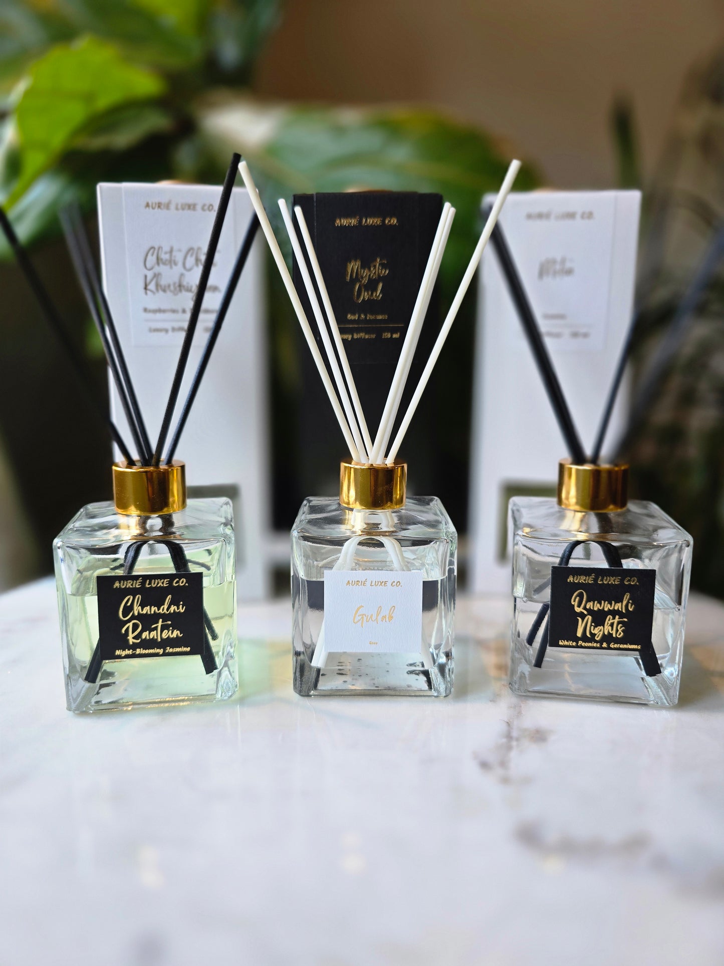 Reed Diffuser Collection: Three Scents, One Essence