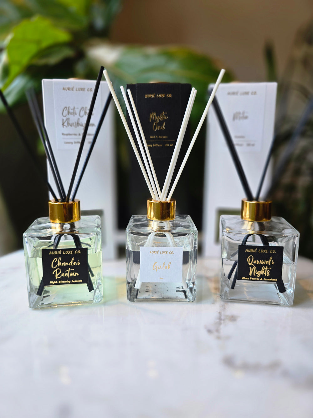 Reed Diffuser Collection: Three Scents, One Essence